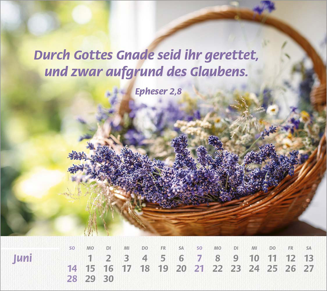 Du bist meine Stärke 2026