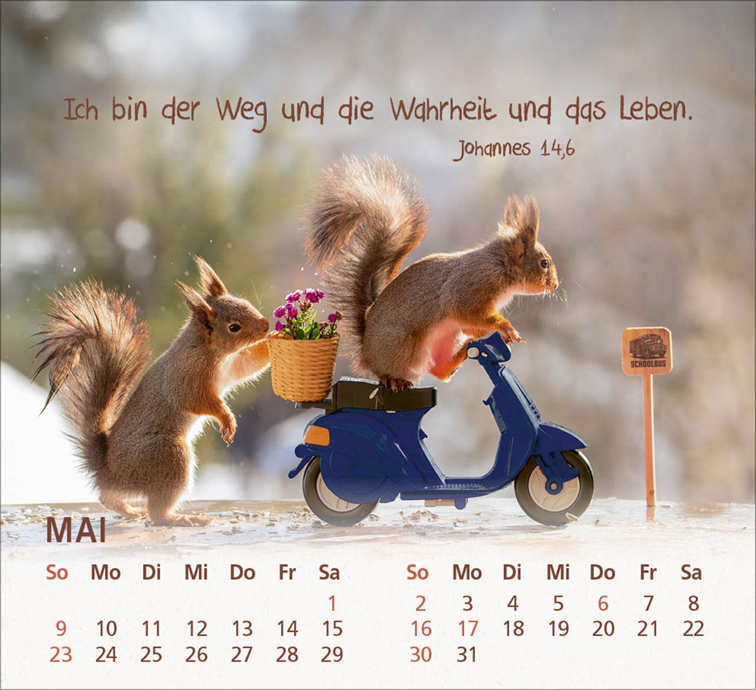 Du bist meine Freude 2027