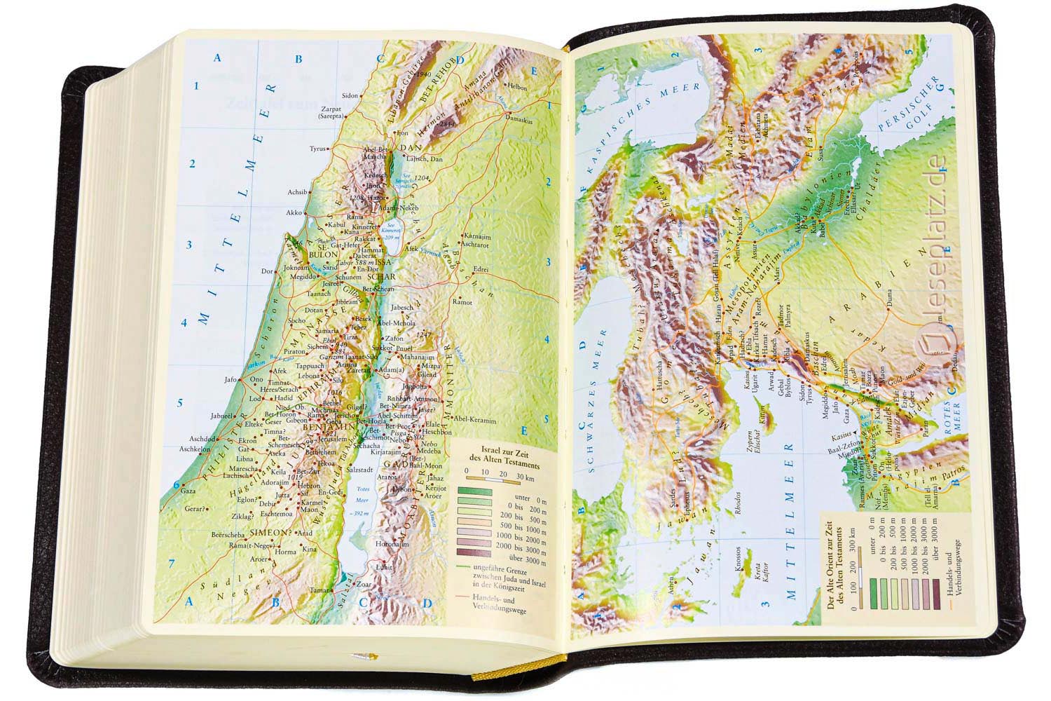 Elberfelder Bibel 2006 Taschenausgabe - Leder dunkelbraun