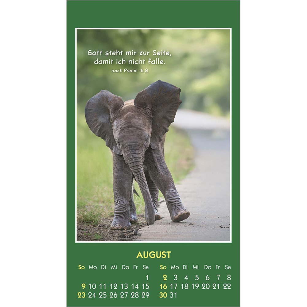 Hallo Du 2026 - Aufkleber-Kalender Hallo Du 2026 - Aufkleber-Kalender
