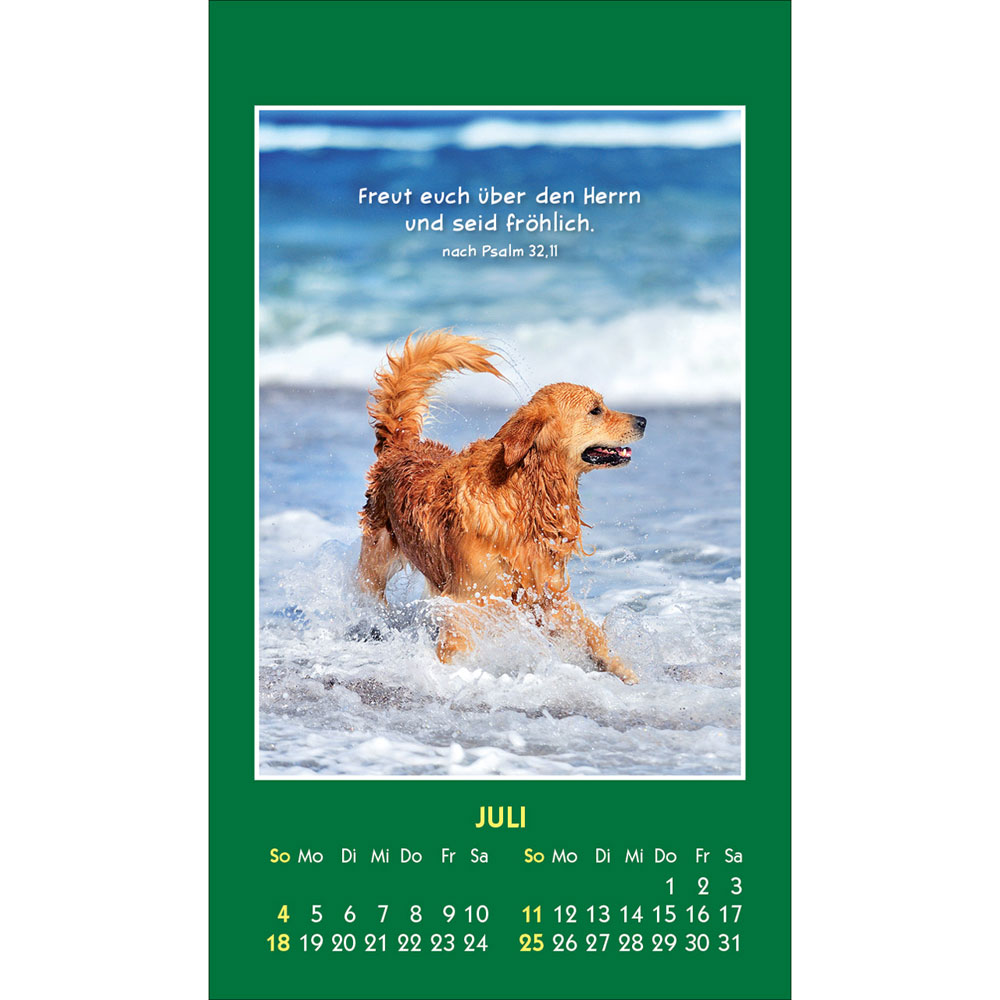 Hallo Du 2027 - Aufkleber-Kalender