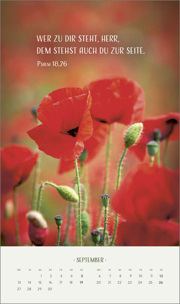Zarte Blumengrüße 2027 - Wandkalender