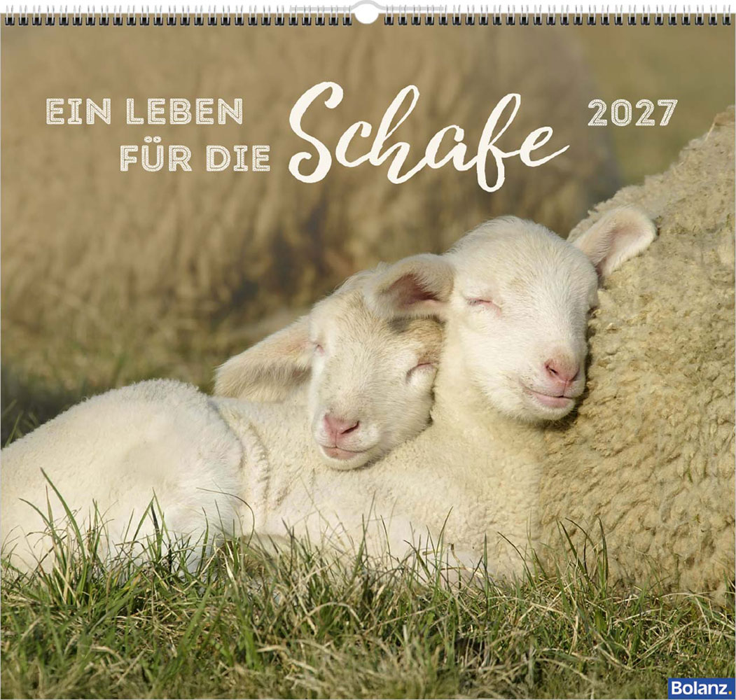 Ein Leben für die Schafe 2027 - Wandkalender