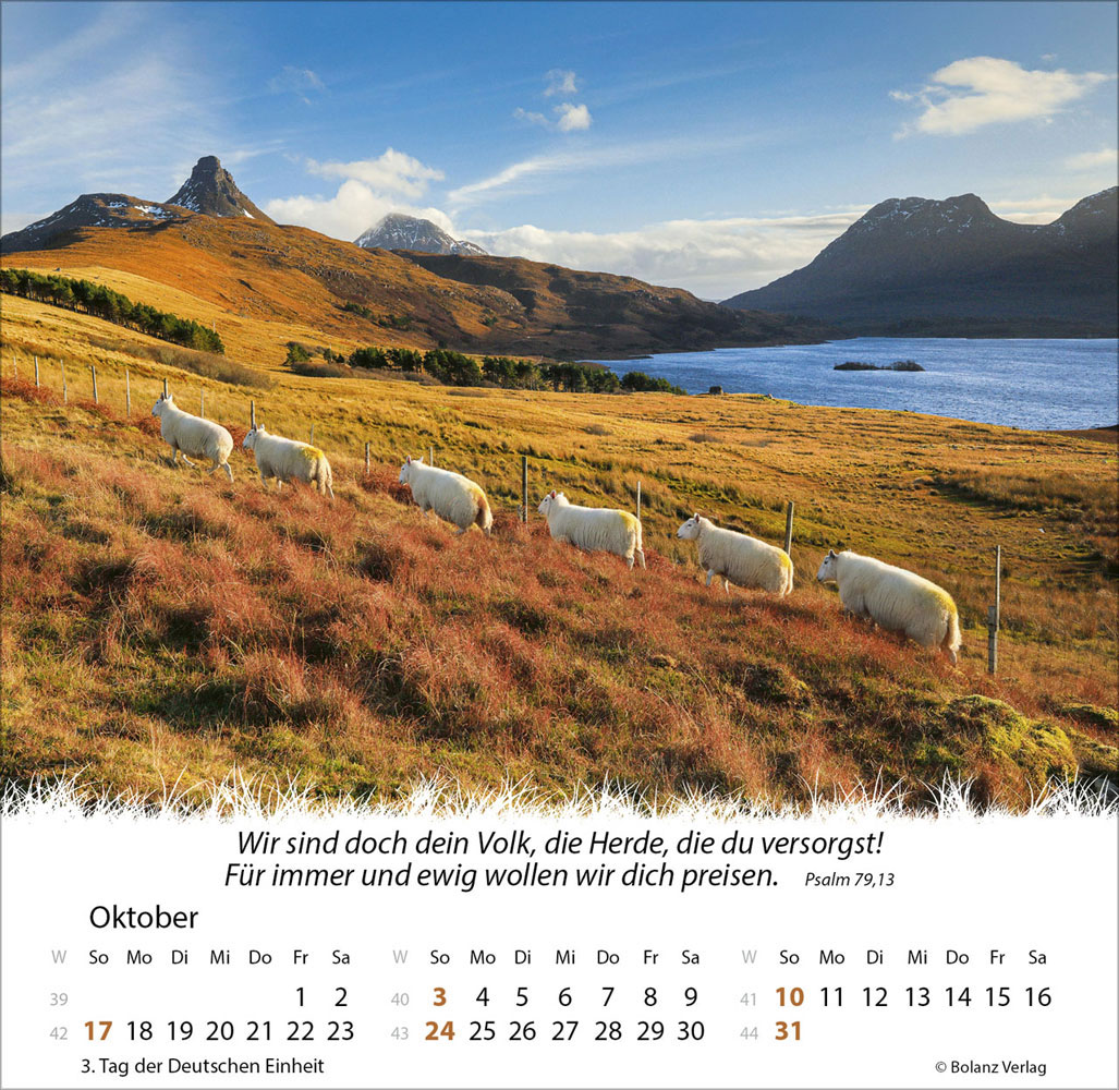 Ein Leben für die Schafe 2027 - Verteilkalender