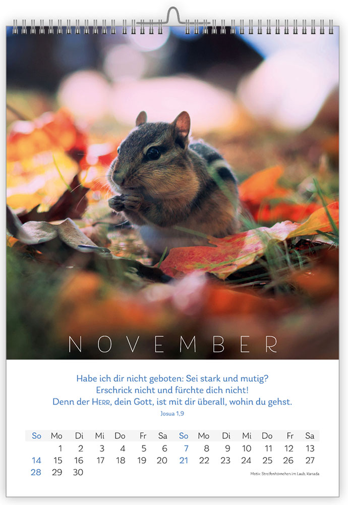 Natur 2027 - Fotokalender
