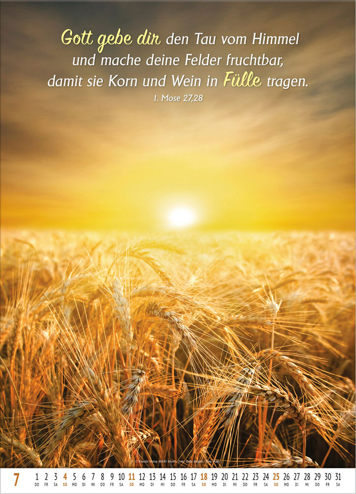 Gottes Wort - Licht auf dem Weg 2027 - Wandkalender