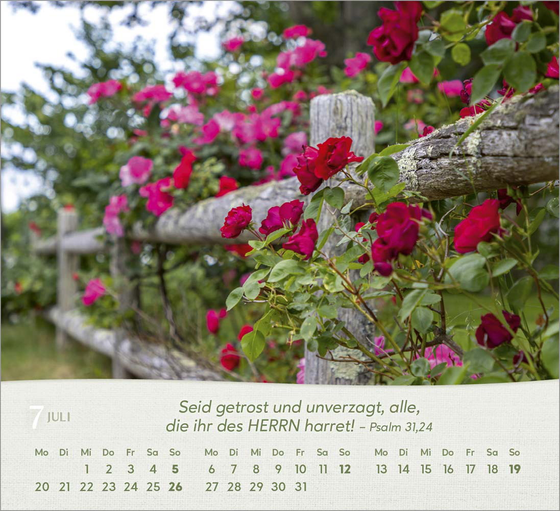 Rosen 2026 - Tischkalender