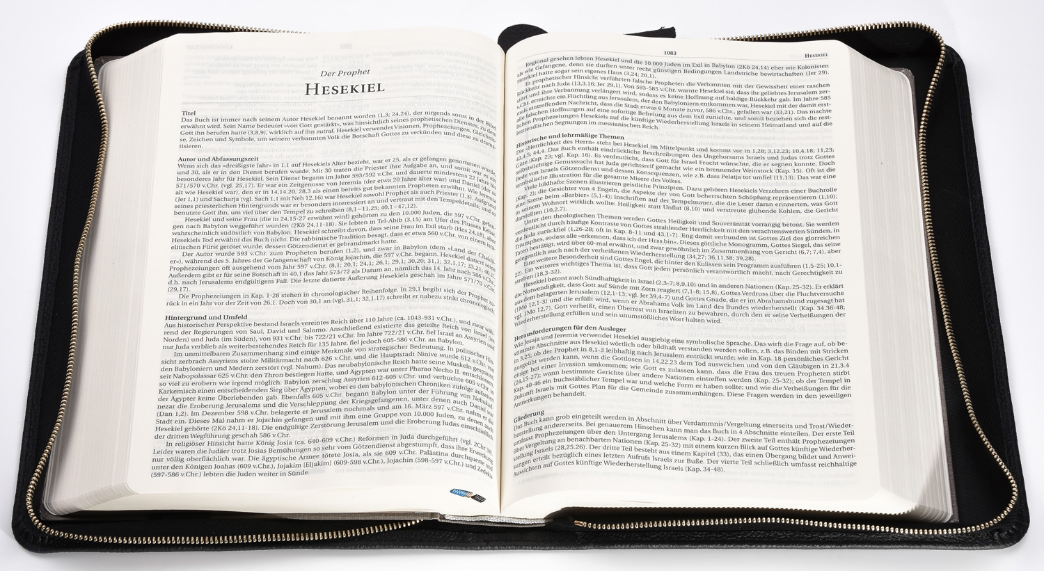 MacArthur Studienbibel - Hardcover mit Rindlederhülle