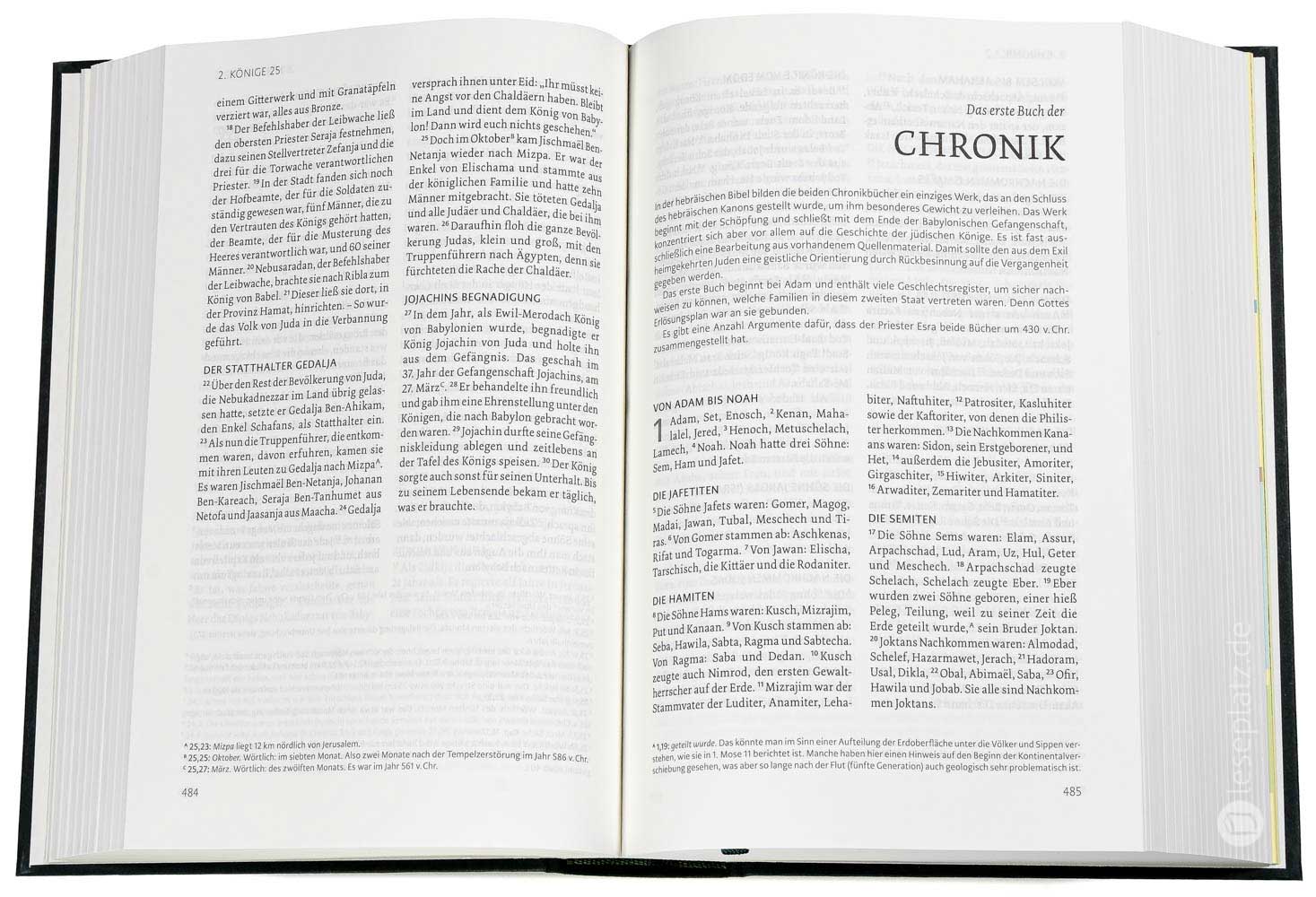 NeÜ - Standardausgabe "Motiv Schwert"