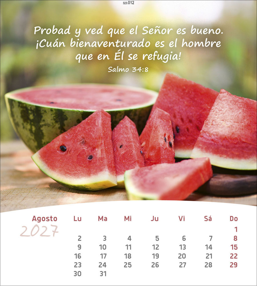 Leben für Dich 2027 - Verteilkalender (Spanisch)