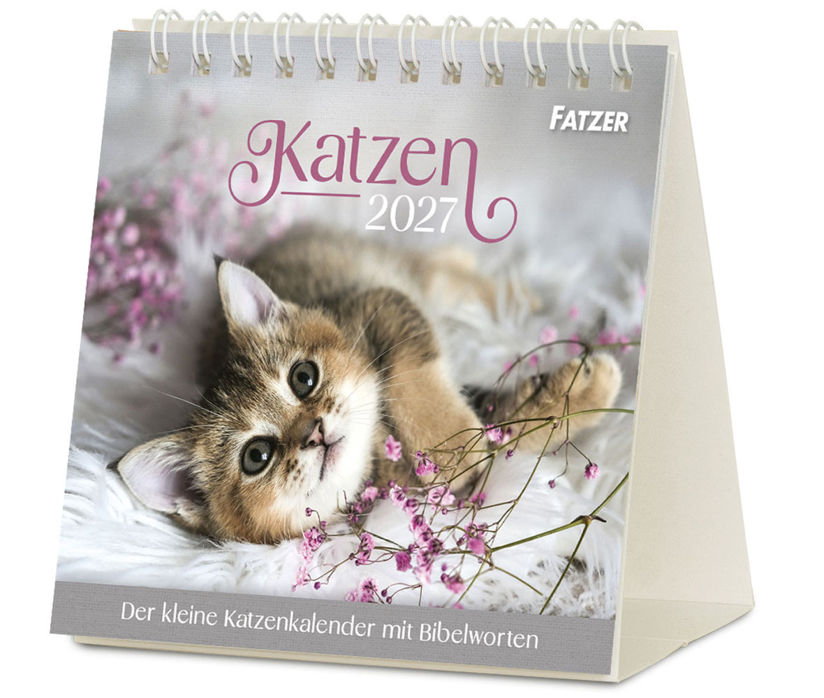 Katzen 2027 - Tischkalender
