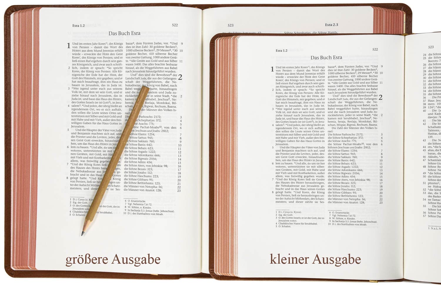 257166-257165_ELB-Schreibr Elberfelder 2003 - kl.Schreibrandausgabe / Leder hellbraun Rotgoldschnitt