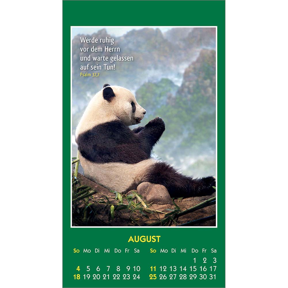 Hallo Du 2024 - Aufkleber-Kalender