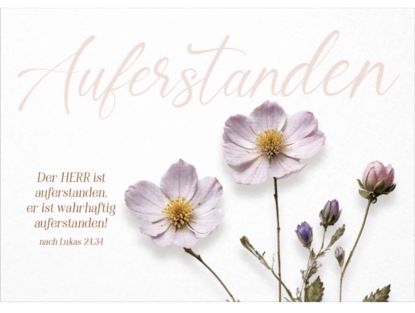Mini-Spruchkartenserie "Auferstanden"