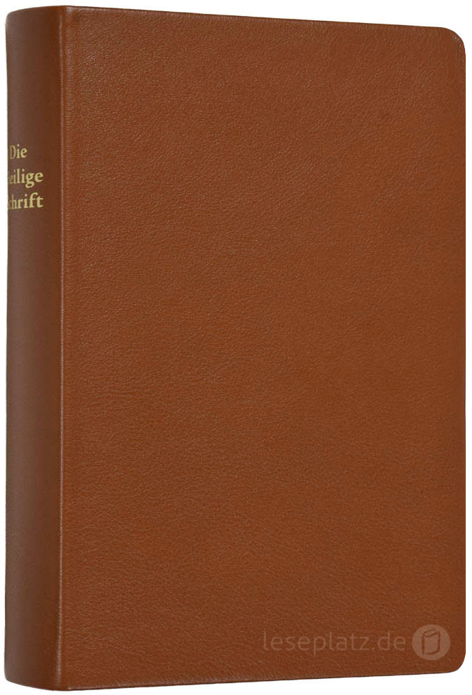 257165v_Elberfelder-02 Elberfelder 2003 - kl.Schreibrandausgabe / Leder hellbraun Rotgoldschnitt