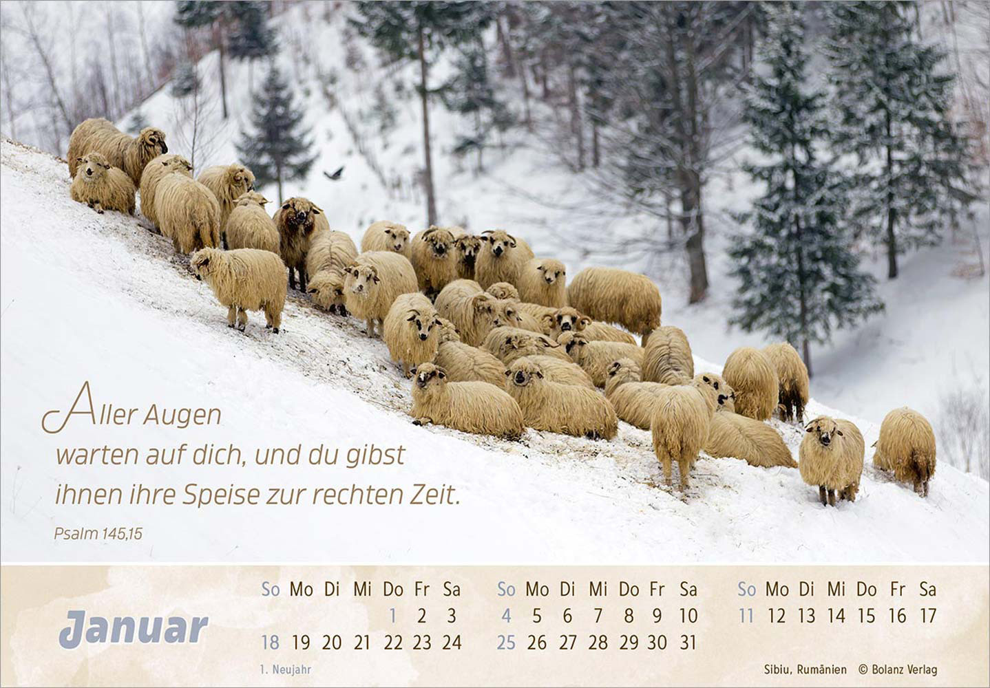 Der Gute Hirte 2026 - Postkartenkalender