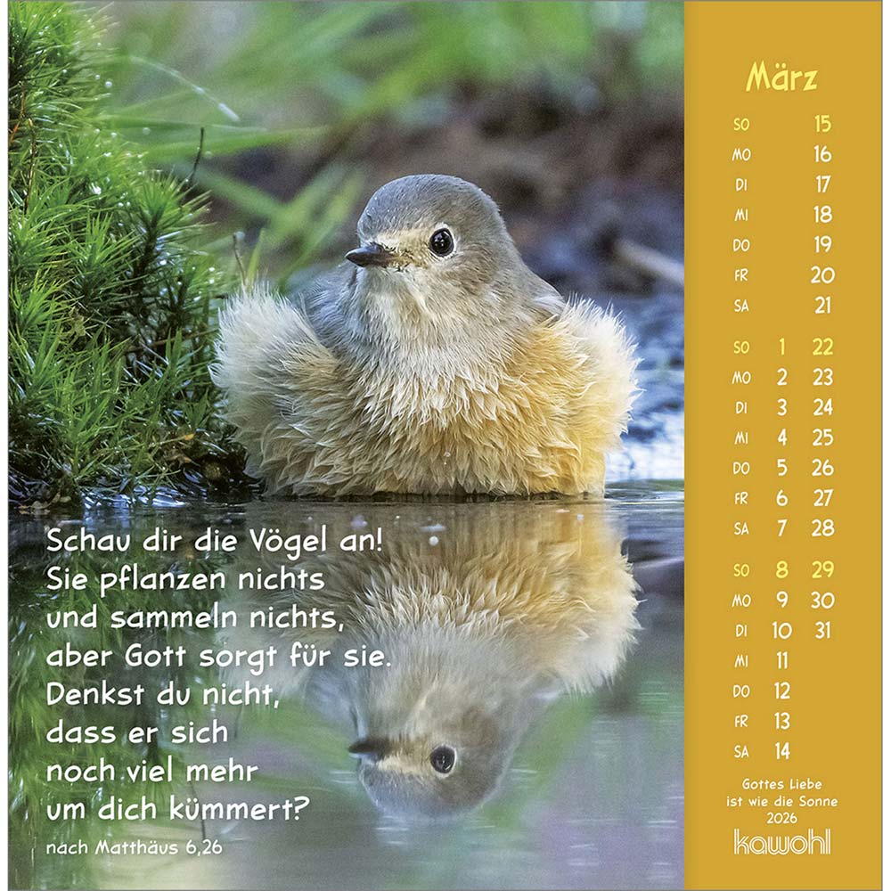 Gottes Liebe ist wie die Sonne 2026 - Postkartenkalender