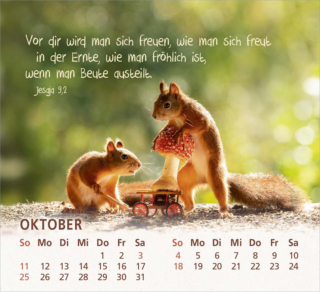 Du bist meine Freude 2026