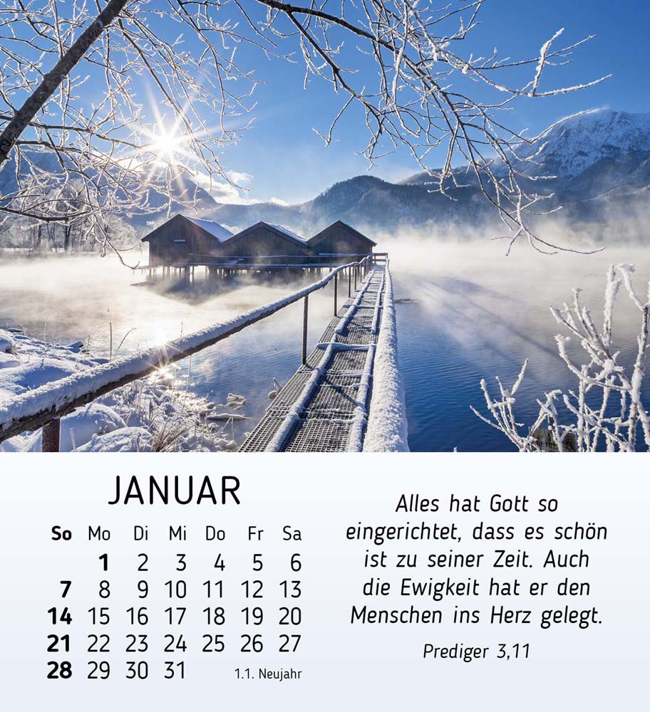 Schönheit des Lichts 2024 Schönheit des Lichts 2024