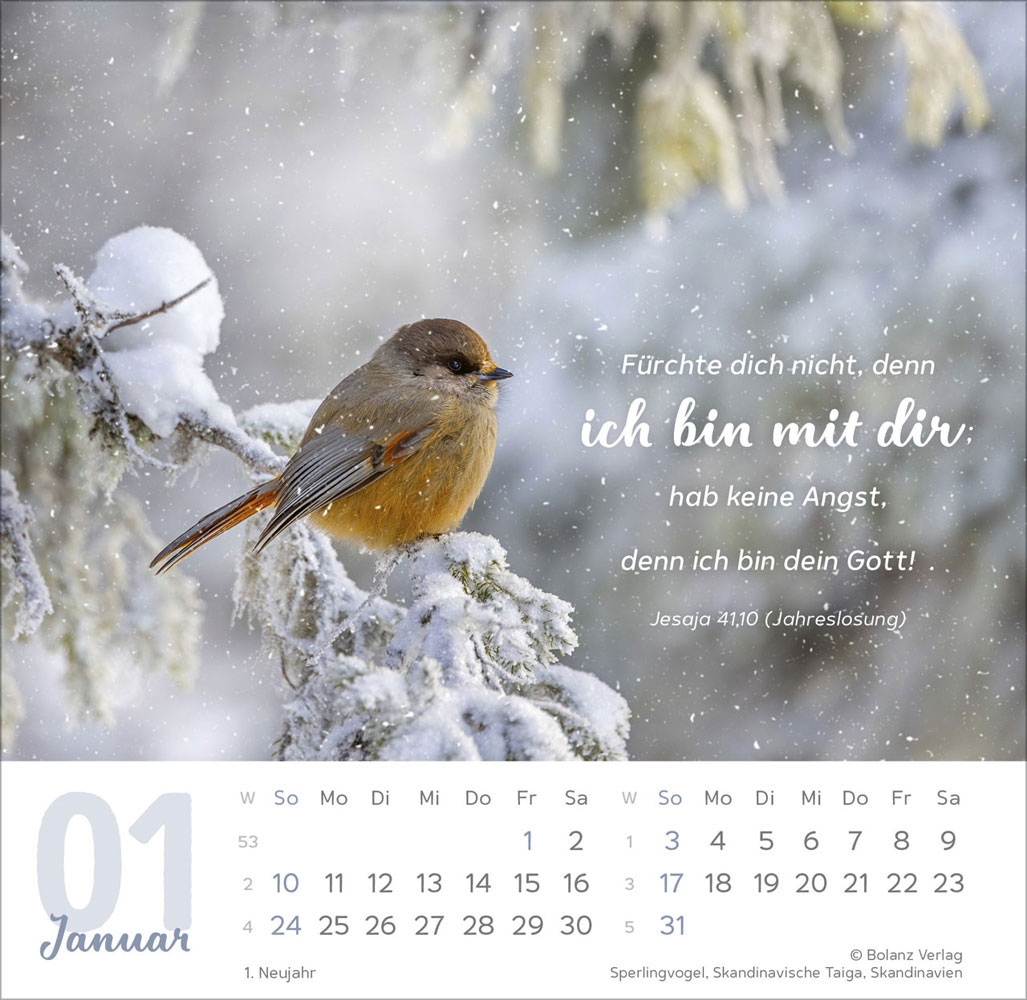 Meine Zeit 2027 - Verteilkalender