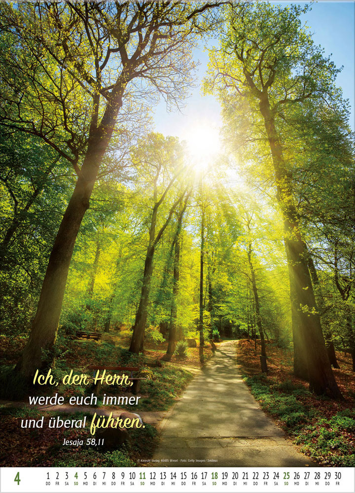 Gottes Wort - Licht auf dem Weg 2027 - Wandkalender