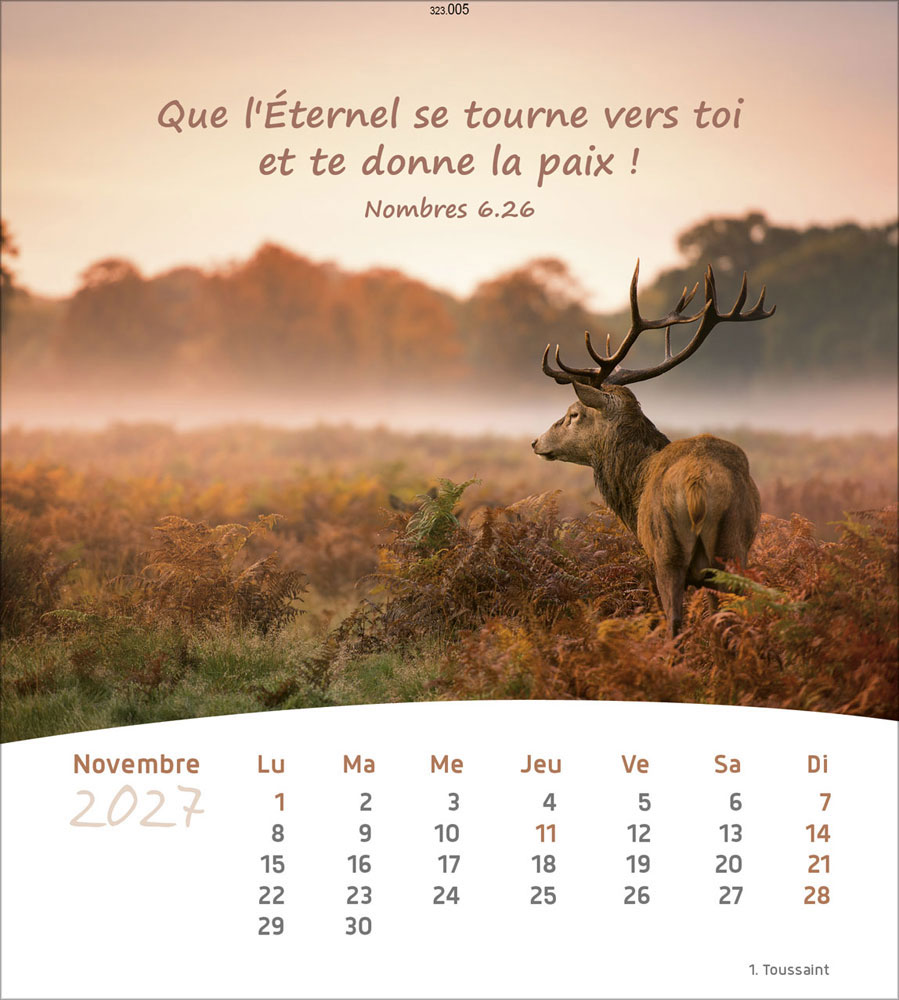 Leben für Dich 2027 - Verteilkalender (Französisch)