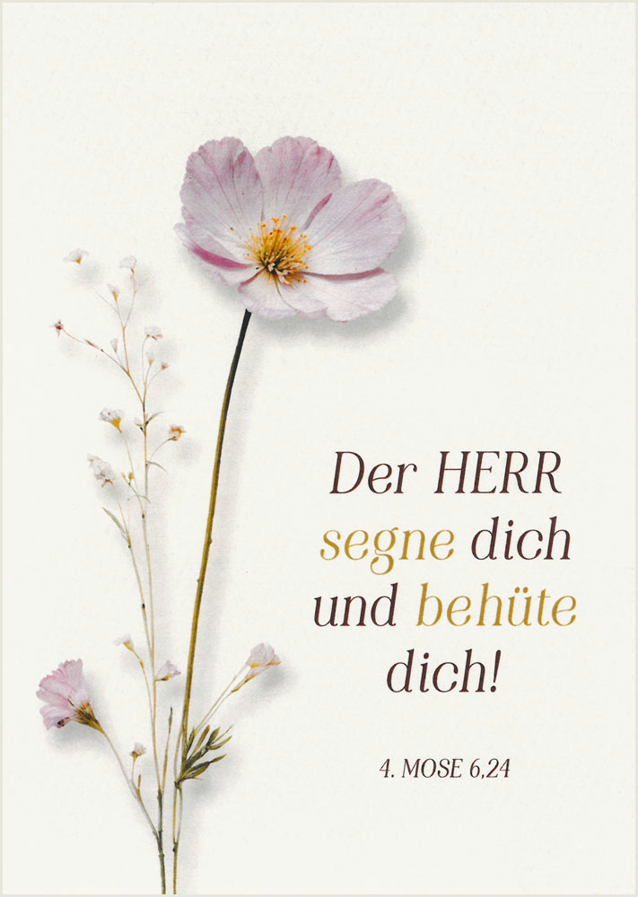 Postkarte "Der Herr segne dich"