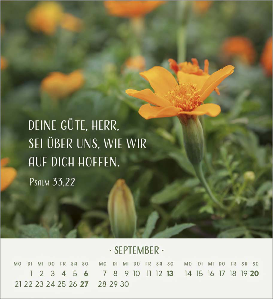Zarte Blumengrüße 2026 - Tischkalender