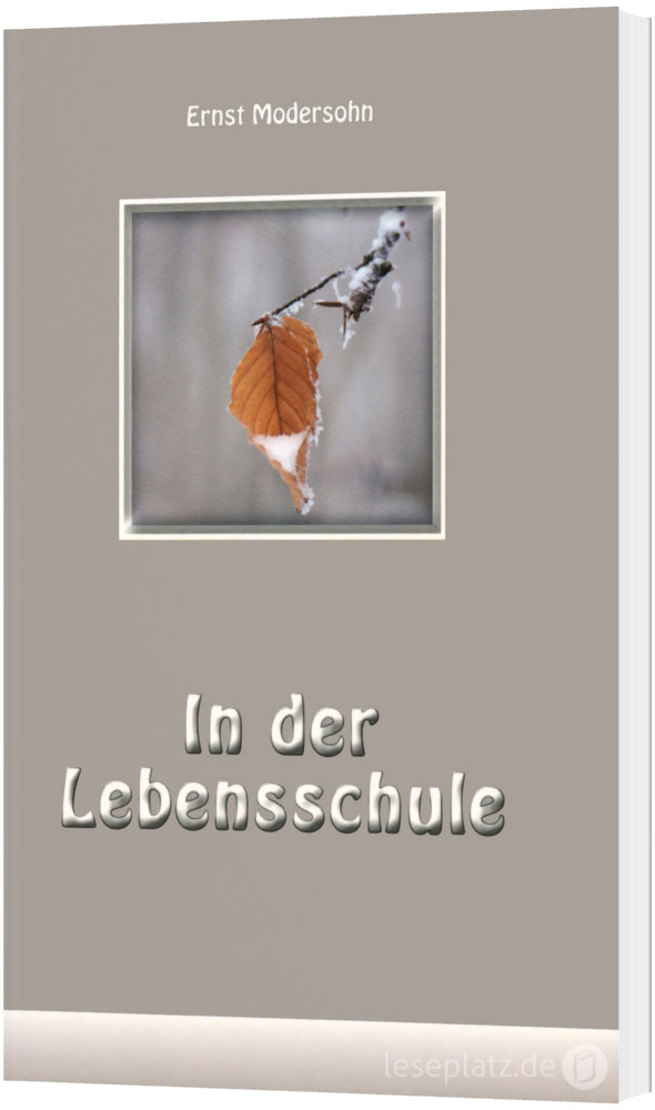 In der Lebensschule