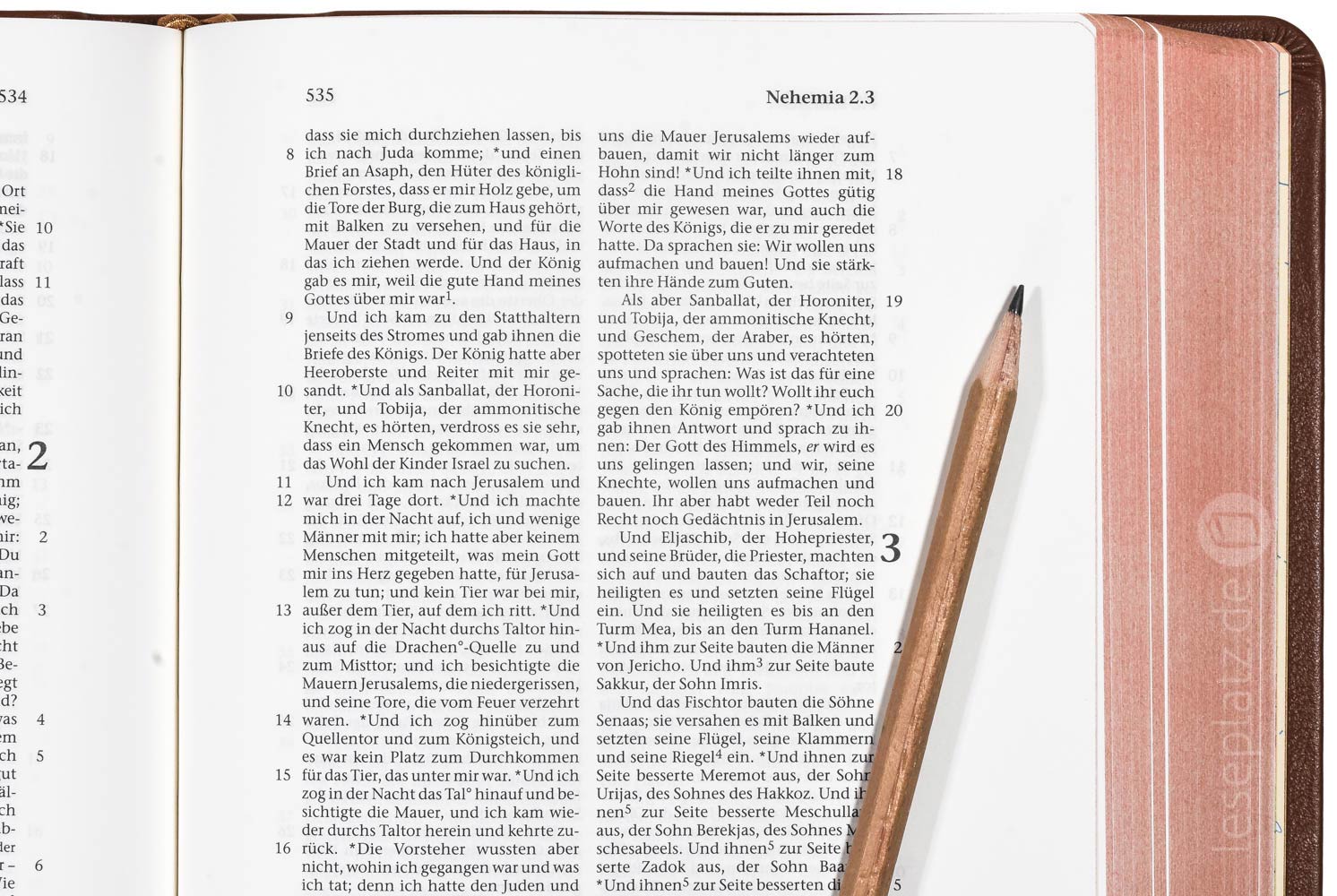 257165-07 Elberfelder 2003 - kl.Schreibrandausgabe / Leder hellbraun Rotgoldschnitt