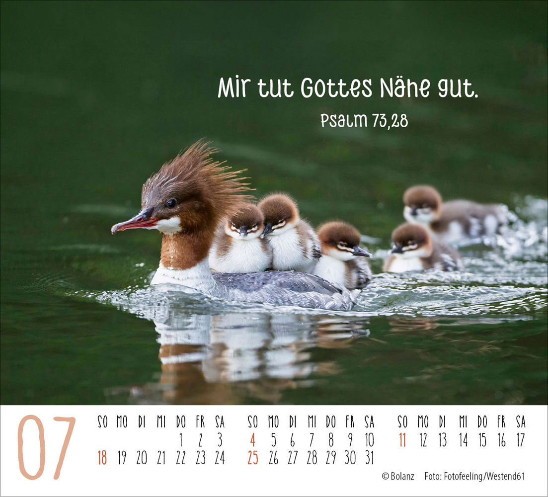 Begegnungen 2027 - Minikalender