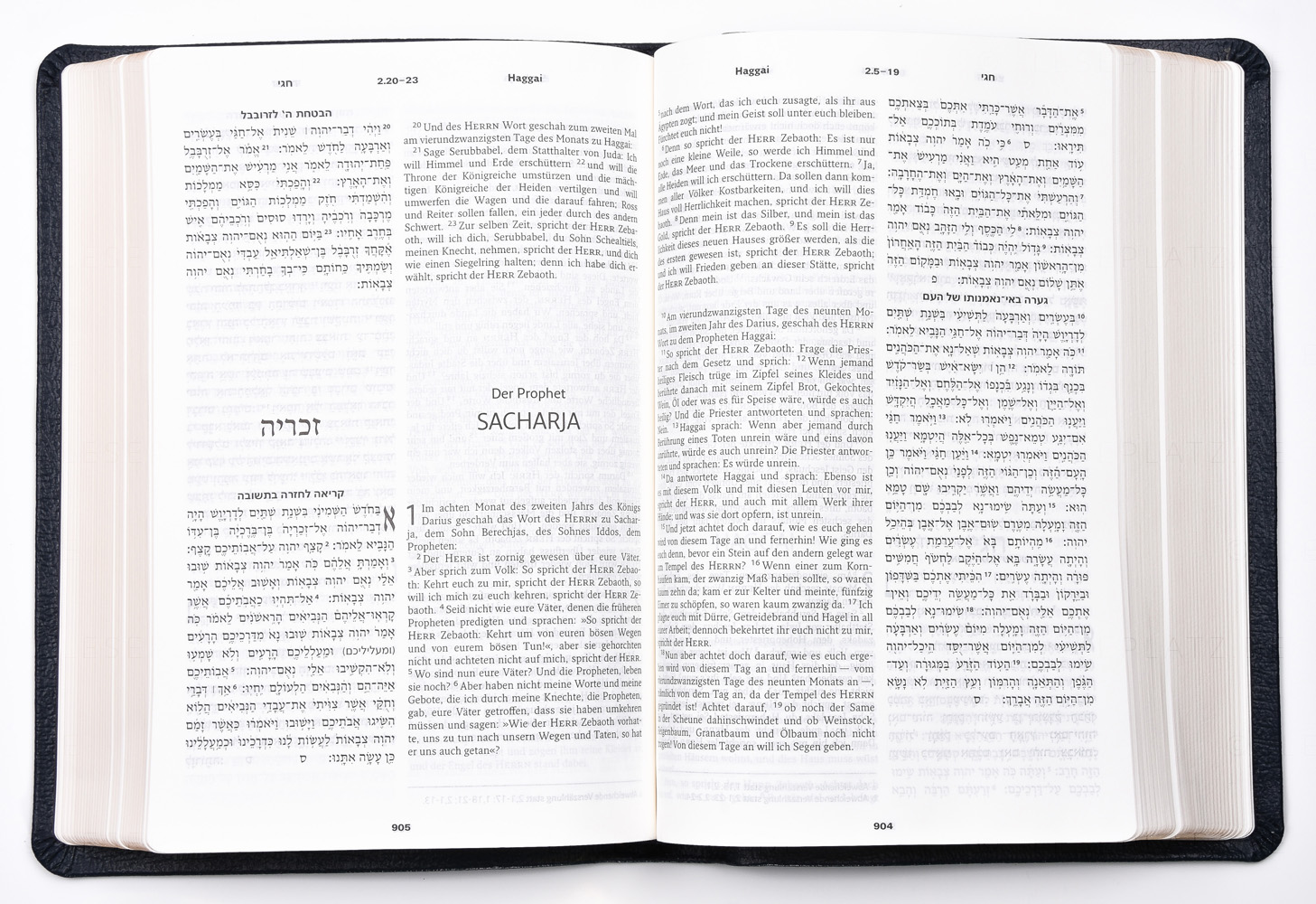 Die Bibel - Hebräisch-Deutsch (Leder / Goldschnitt)