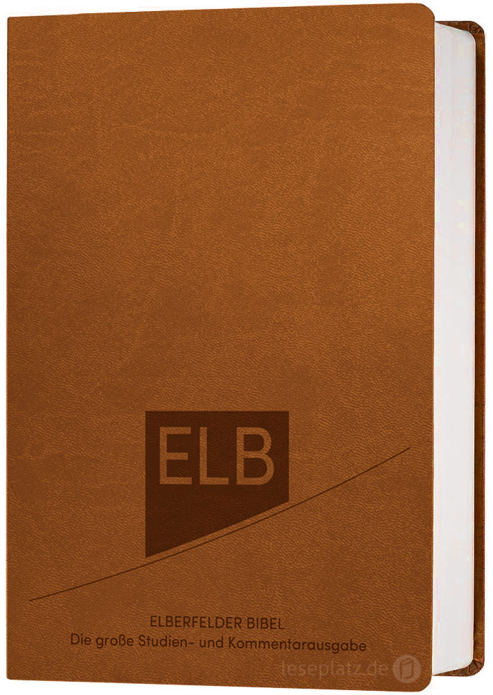Elberfelder Bibel 2006 Studienausgabe - Kunstleder braun