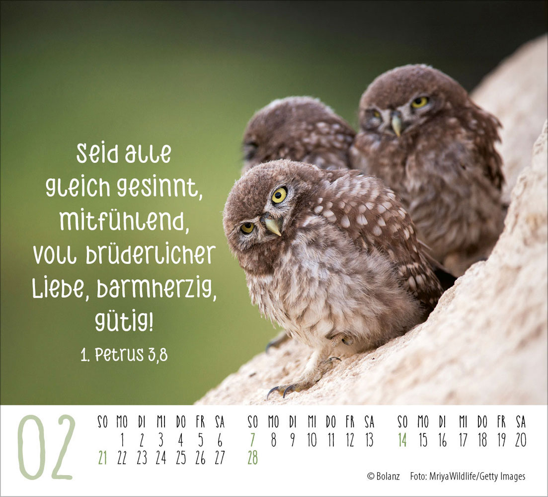 Begegnungen 2027 - Minikalender