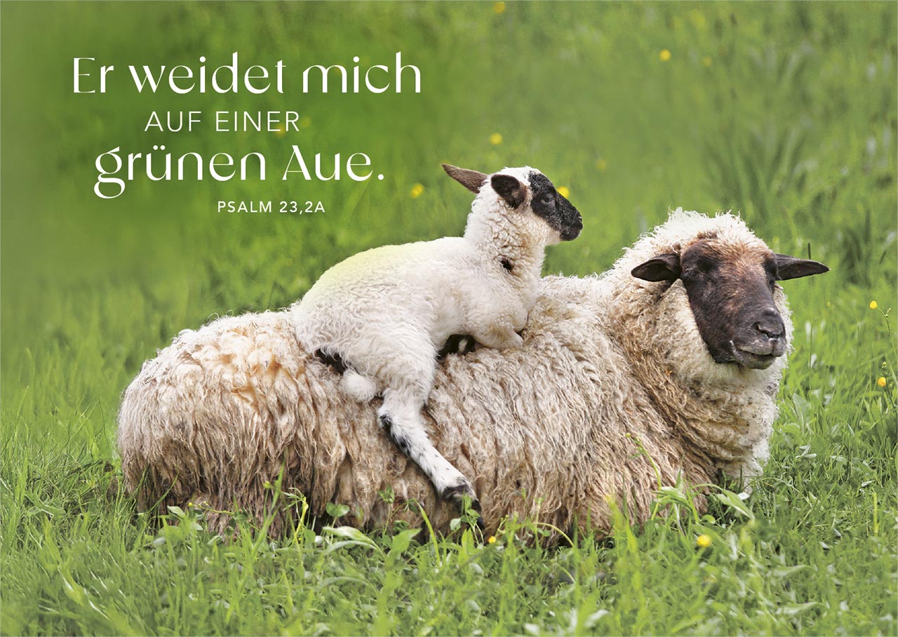 Postkartenbox "Psalm 23"