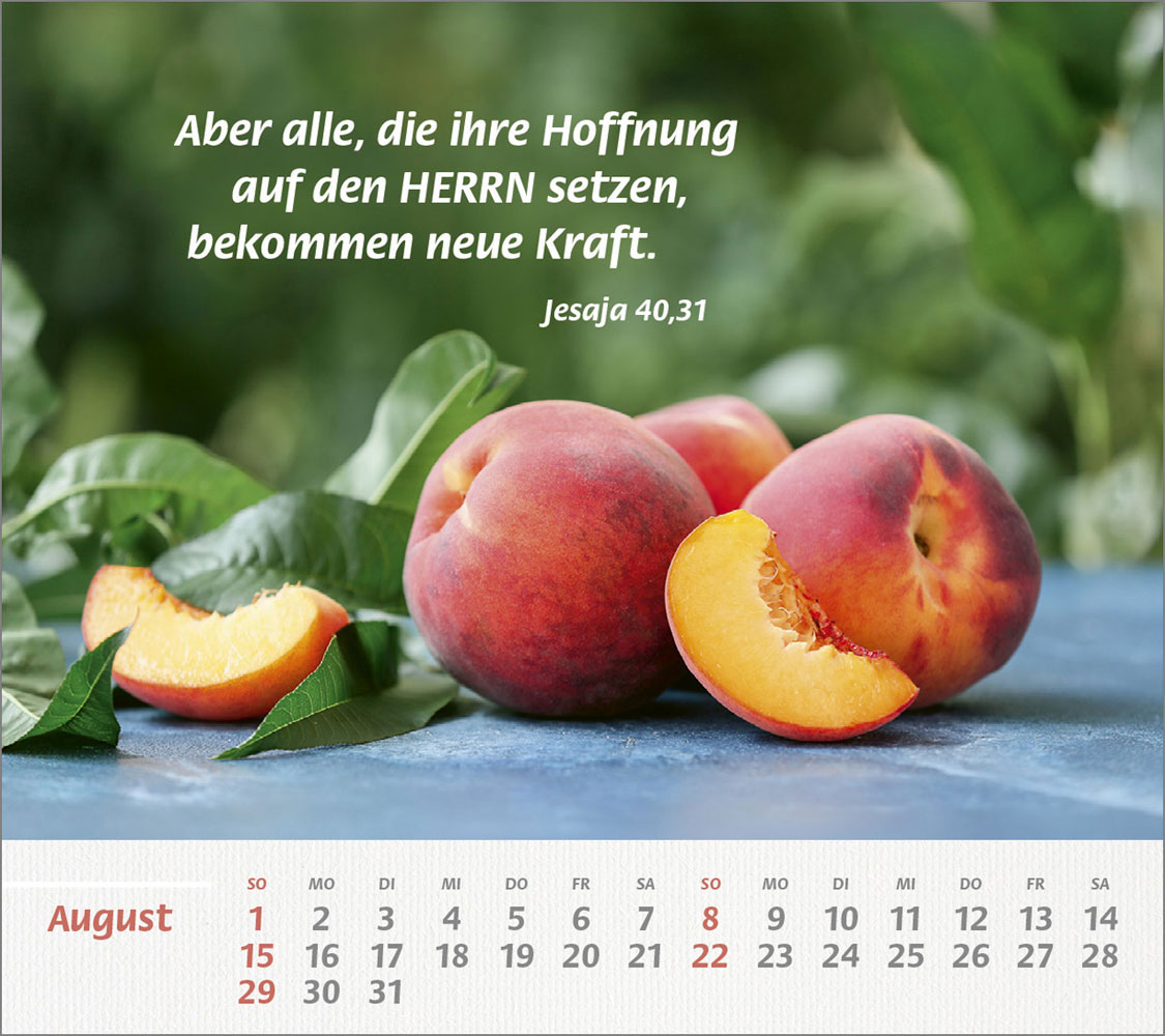 Du bist meine Stärke 2027