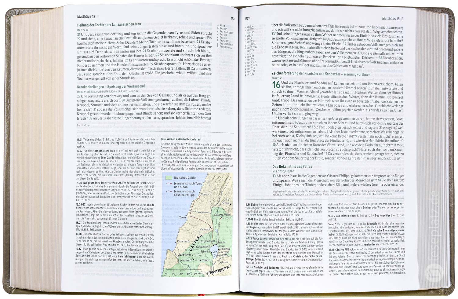 Elberfelder Bibel 2006 Studienausgabe - Leder/Goldschnitt