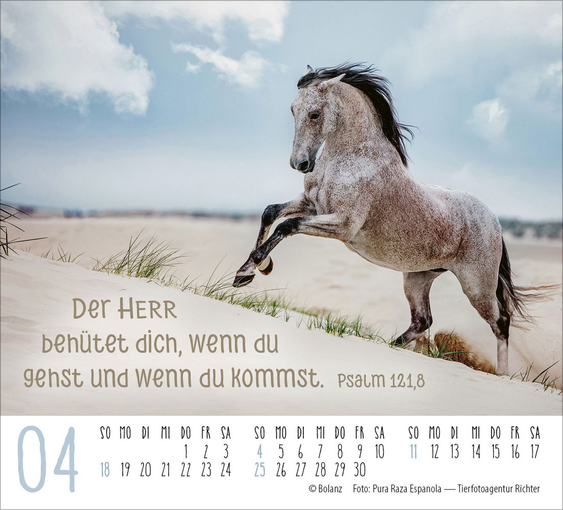 Pferde 2027 - Minikalender