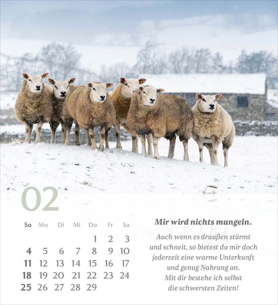 Psalm 23 - Tischkalender 2024 Psalm 23 - Tischkalender 2024