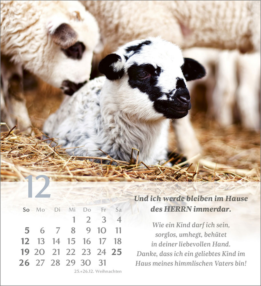 Psalm 23 - Tischkalender 2027