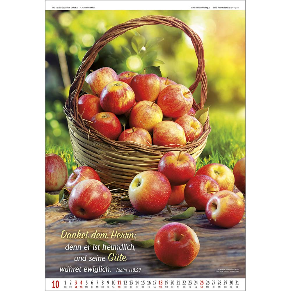 Gottes Wort - Licht auf dem Weg 2026 - Wandkalender