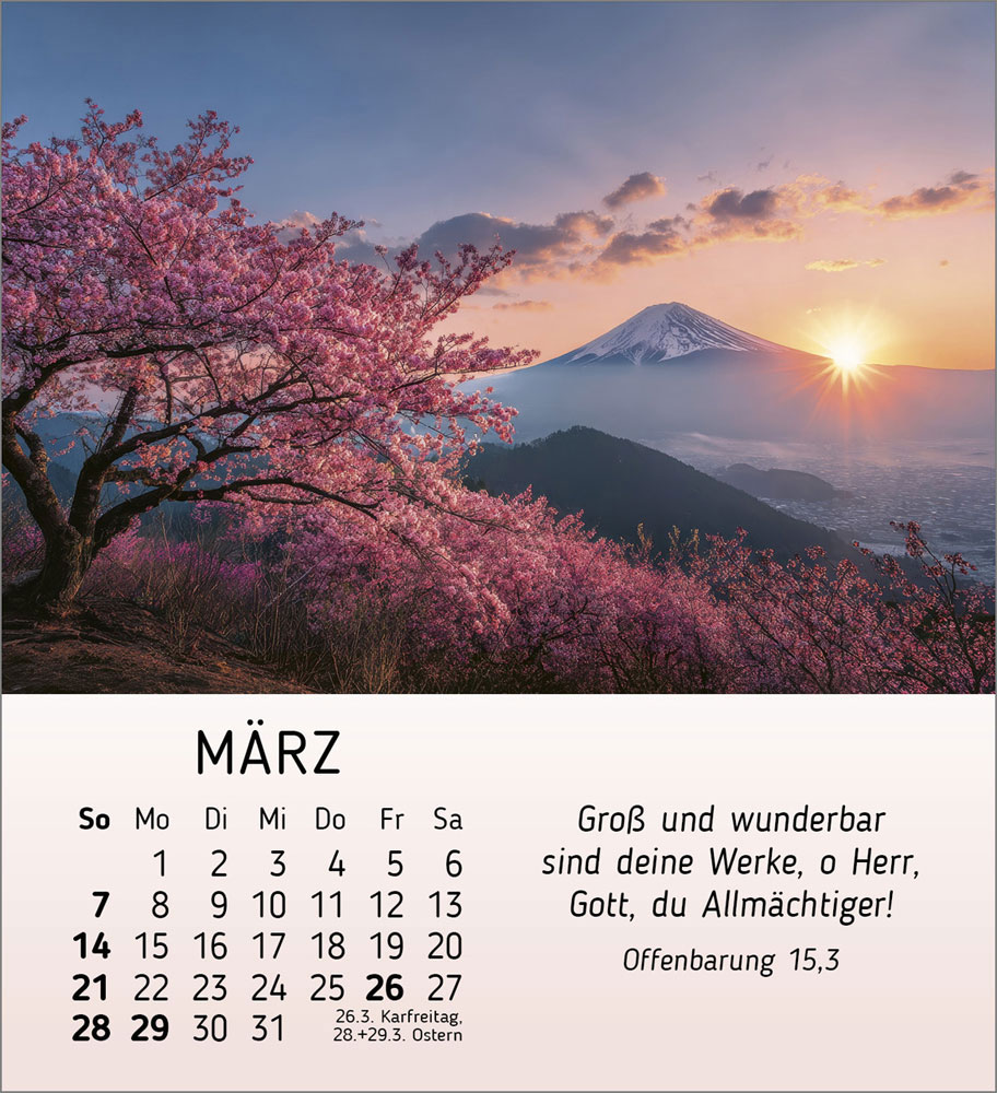 Schönheit des Lichts 2027