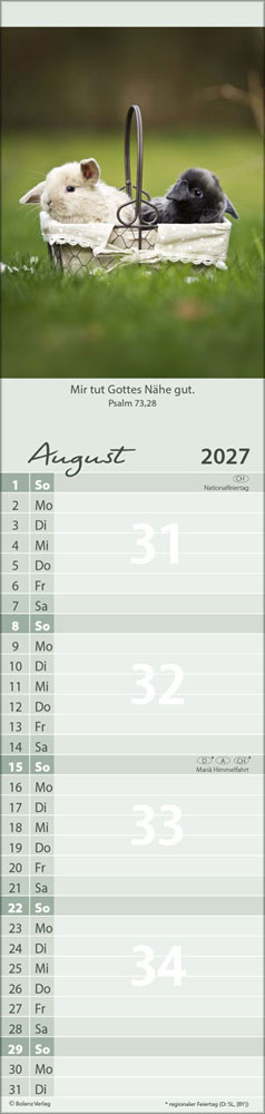 Für Euch 2027 - Streifenterminer