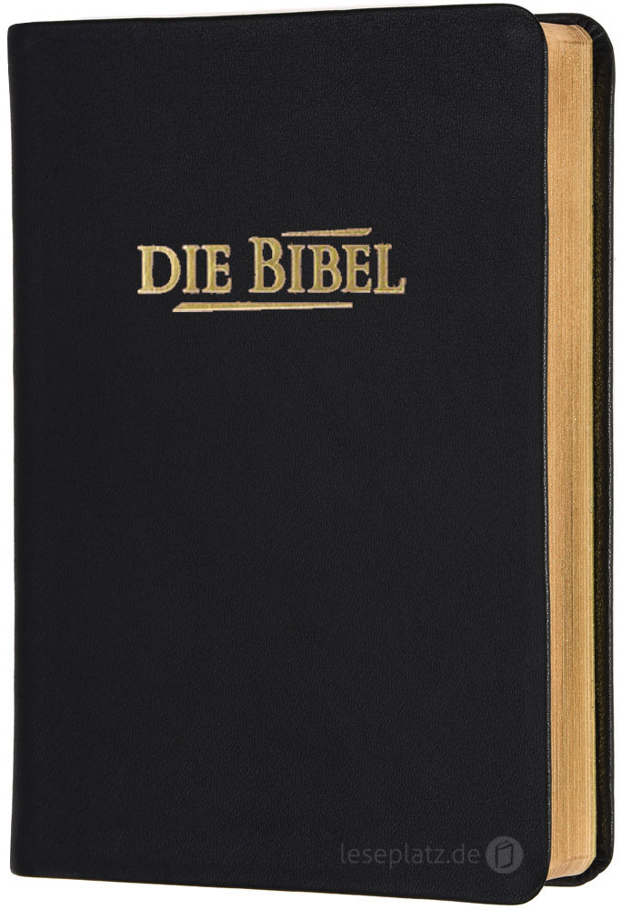 Elberfelder 2003 - Taschenausgabe / Kalbsleder Goldschnitt Elberfelder 2003 - Taschenausgabe / Kalbsleder Goldschnitt