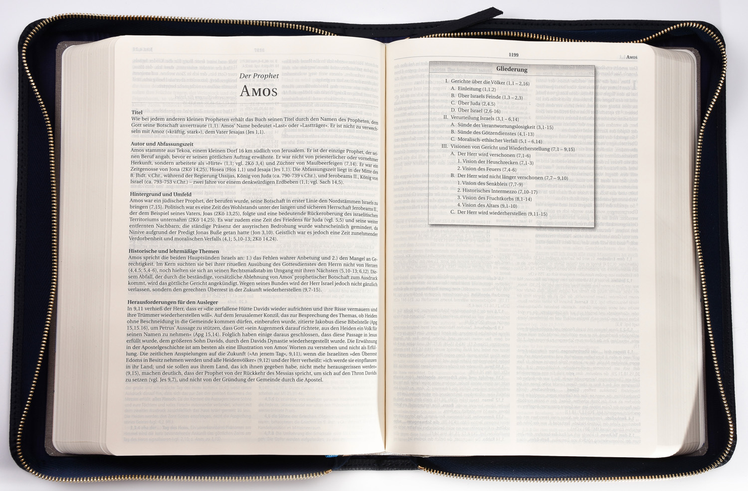 MacArthur Studienbibel mit Echtleder-Bibelhülle