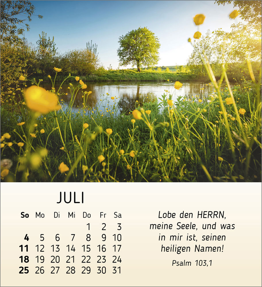 Schönheit des Lichts 2027