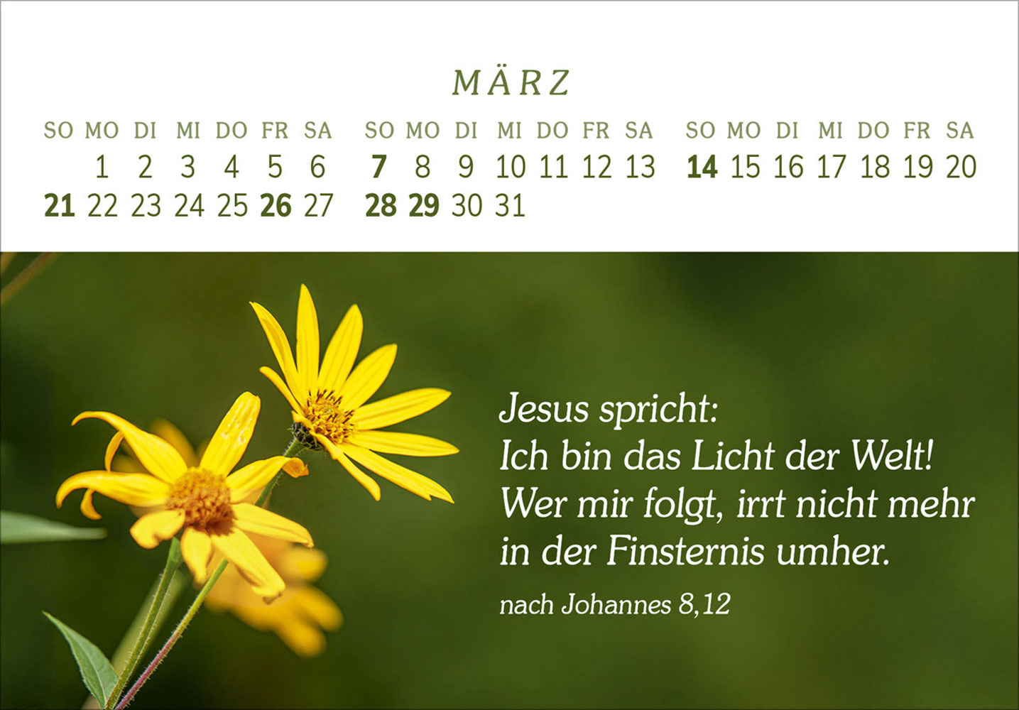 Das Geschenk der Freude 2027