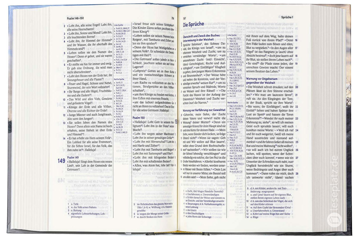 Elberfelder Bibel 2006 Taschenausgabe - Motiv Dünen