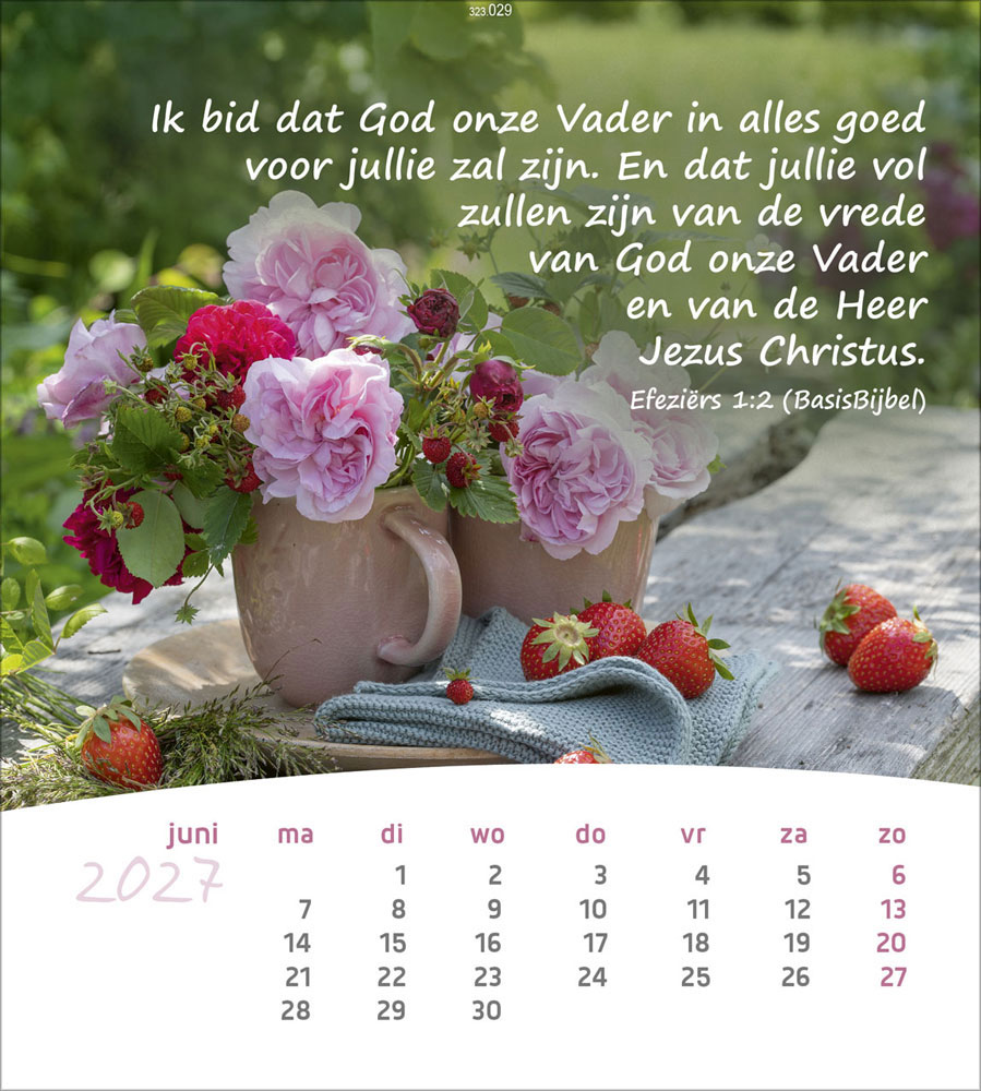 Leben für Dich 2027 - Verteilkalender (Niederländisch)