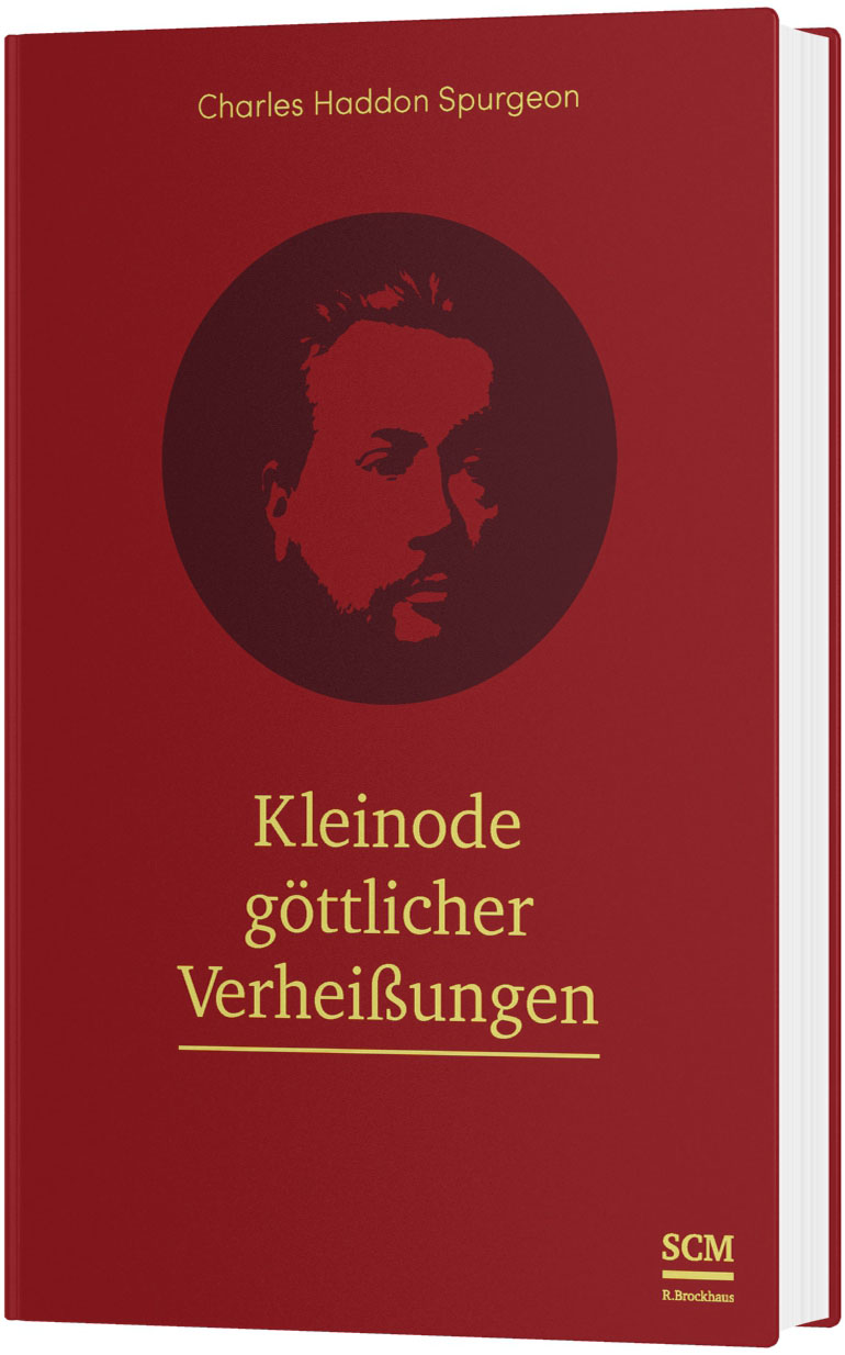 Kleinode göttlicher Verheißungen - Großdruck